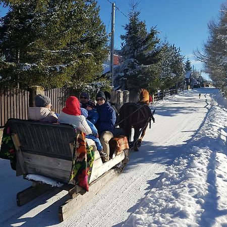 Pension Doru Beliş Buitenkant foto