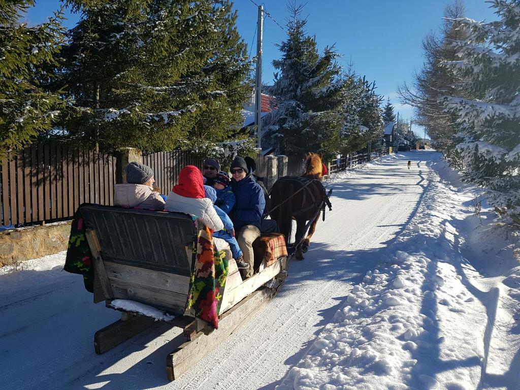 Pension Doru Beliş Buitenkant foto