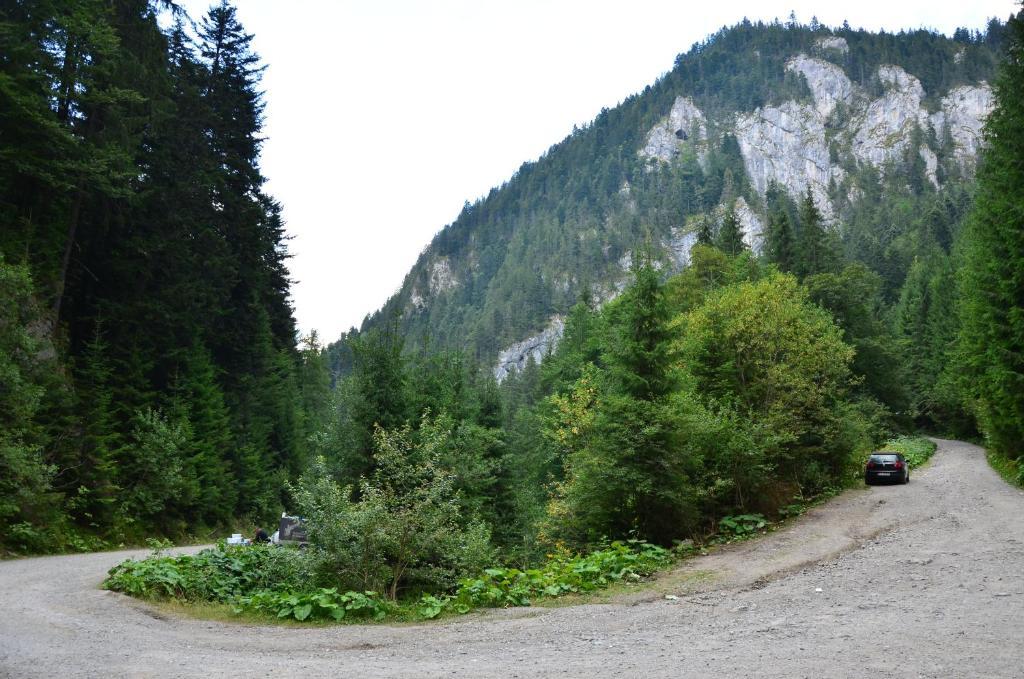 Pension Doru Beliş Buitenkant foto