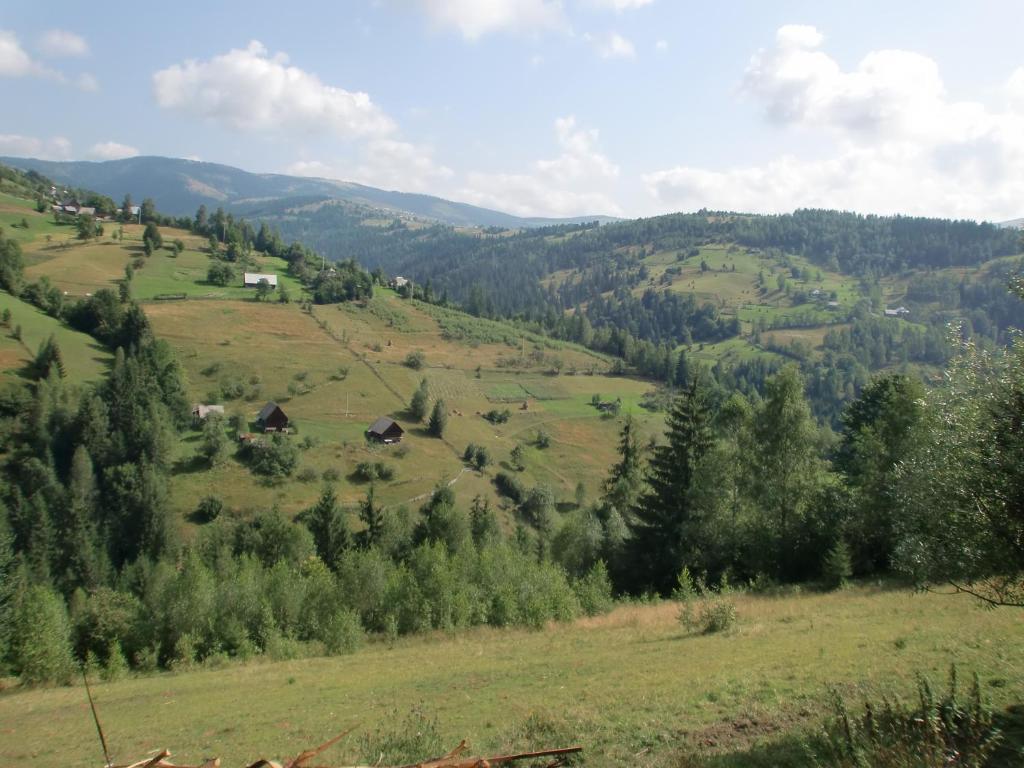 Pension Doru Beliş Buitenkant foto