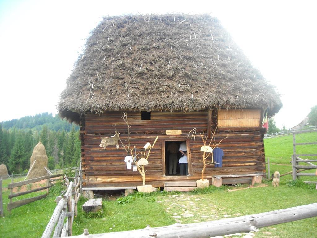 Pension Doru Beliş Buitenkant foto